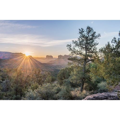 Tilley, Rob 아티스트의 Arizona-Sedona Cathedral Rock at sunrise작품입니다.